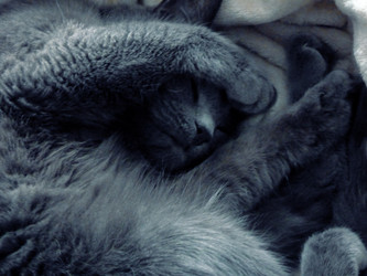 Similar image 22636374