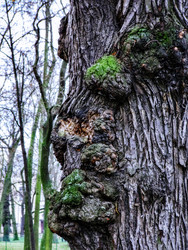 Similar image 22636392