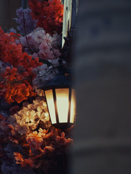 Similar image 22635392