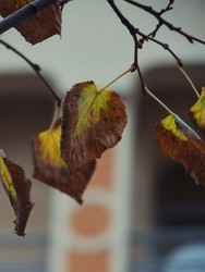 Similar image 22635402