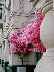 Similar image 22635419