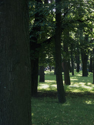 Similar image 22635423