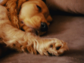 Similar image 22635428