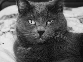 Similar image 22635434