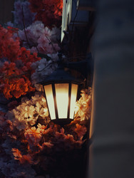 Similar image 22635437