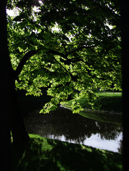 Similar image 22635438