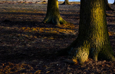 Similar image 22635439