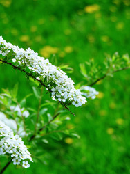 Similar image 22632276