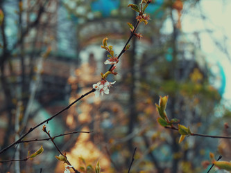 Similar image 22610694