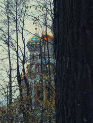 Similar image 22618181