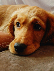 Similar image 22607946