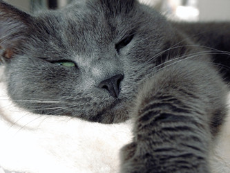 Similar image 22607947