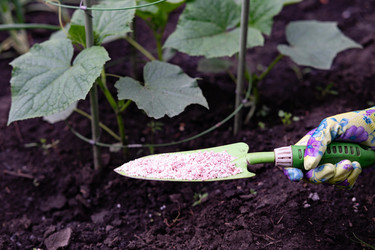 Similar image 22602917