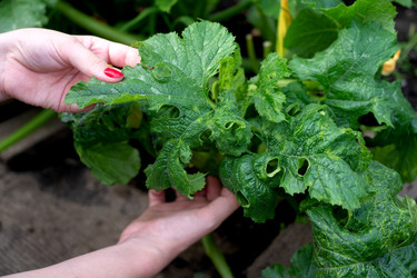 Similar image 22602918