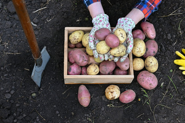 Similar image 22602919