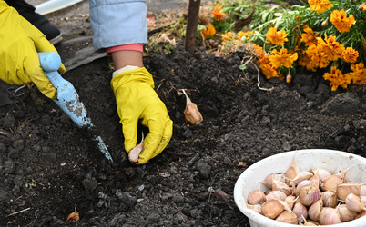 Similar image 22602920