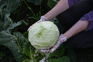 Similar image 22602923