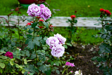 Similar image 22602926