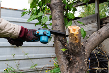 Similar image 22602935