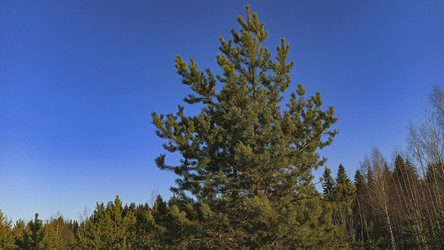 Similar image 22599529