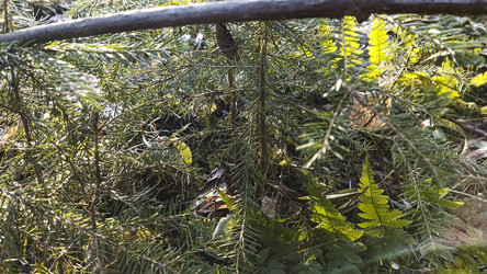 Similar image 22599530