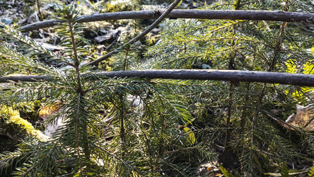 Similar image 22599531