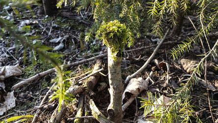 Similar image 22599532