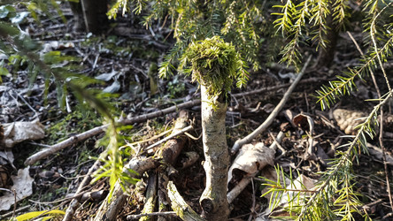 Similar image 22599534