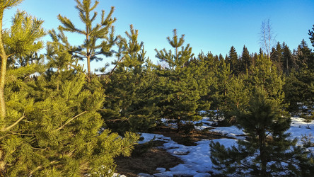 Similar image 22597332