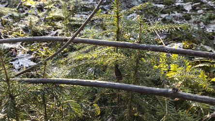 Similar image 22599535