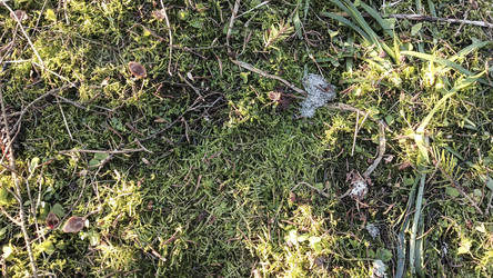 Similar image 22597333