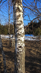 Similar image 22597334