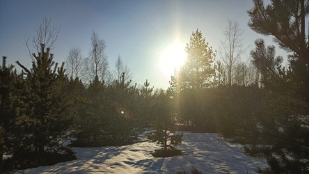 Similar image 22597335