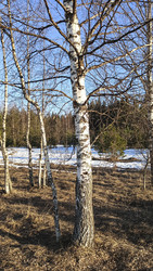 Similar image 22597336