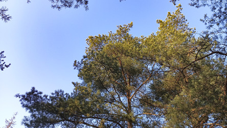 Similar image 22597341