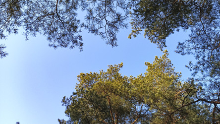 Similar image 22597343