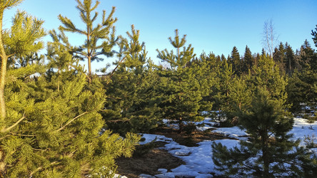 Similar image 22597344