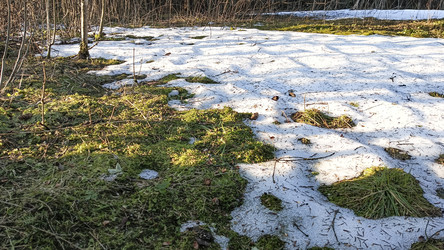 Similar image 22597345