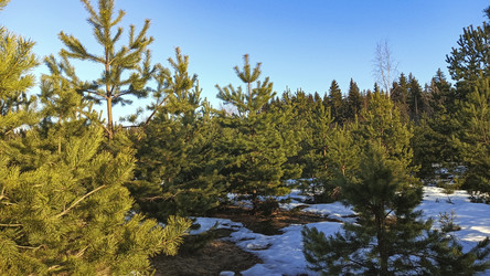 Similar image 22597346