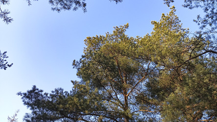 Similar image 22597347