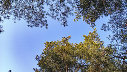 Similar image 22597348