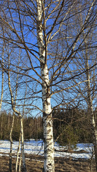 Similar image 22597349