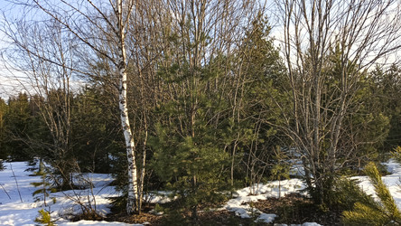 Similar image 22597351