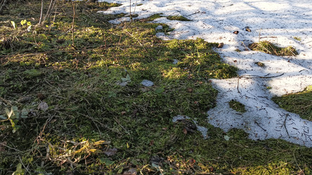 Similar image 22597352