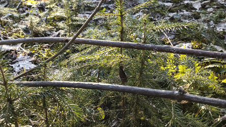 Similar image 22597360