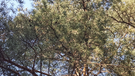 Similar image 22597361