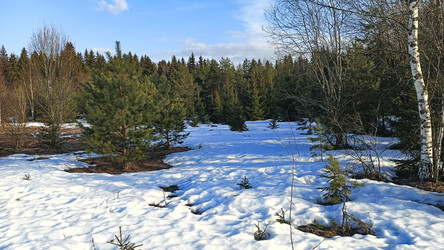 Similar image 22597362