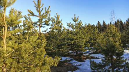 Similar image 22597363