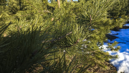 Similar image 22597364