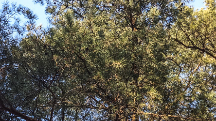 Similar image 22597365